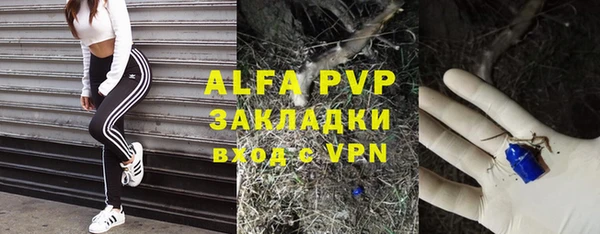 дживик Абаза