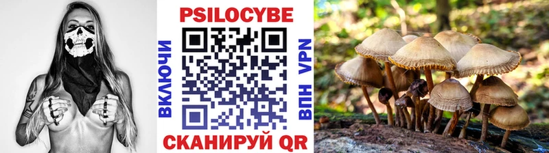 Псилоцибиновые грибы мицелий Домодедово